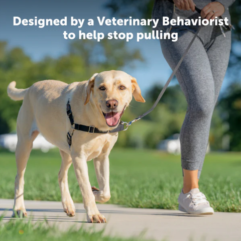 Petsafe Easy Walk Dog Harness Black Small