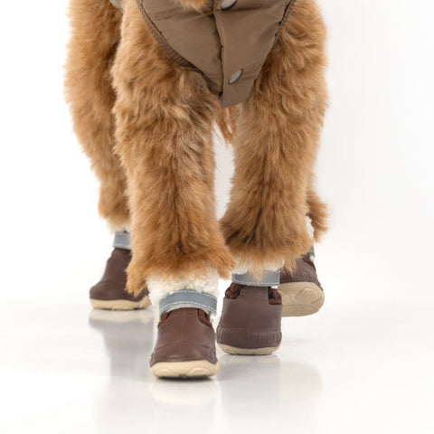 The Stassi- Dog Snow Boots