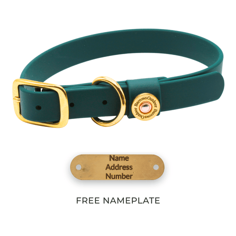 Barrows Dog Collar - Green