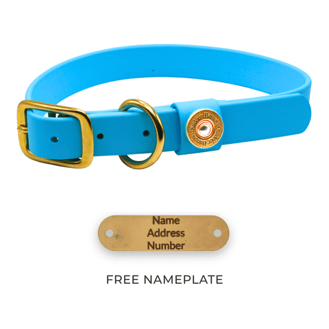 Barrows Dog Collar - Teal