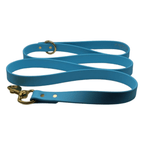 Barrows Dog Leash - Teal