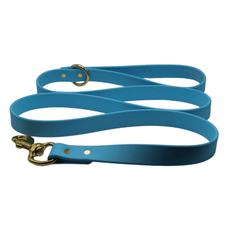Barrows Dog Leash - Teal