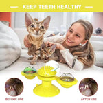Cat Teases Interactive Pet Toy