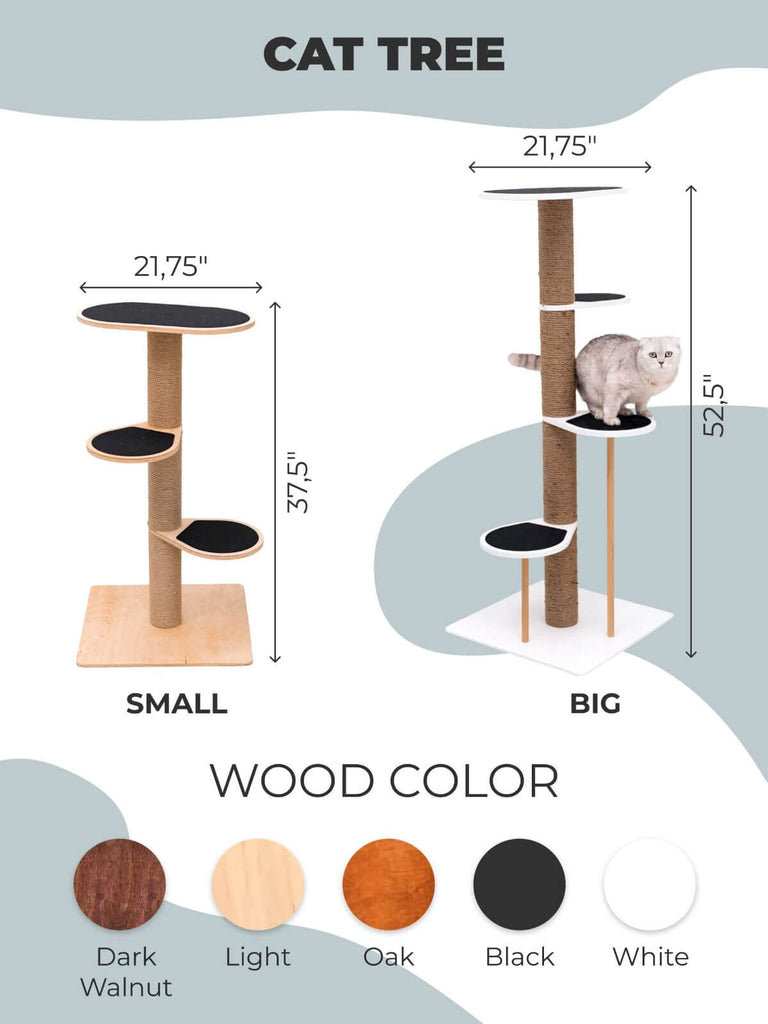 Cat Climbing Tower