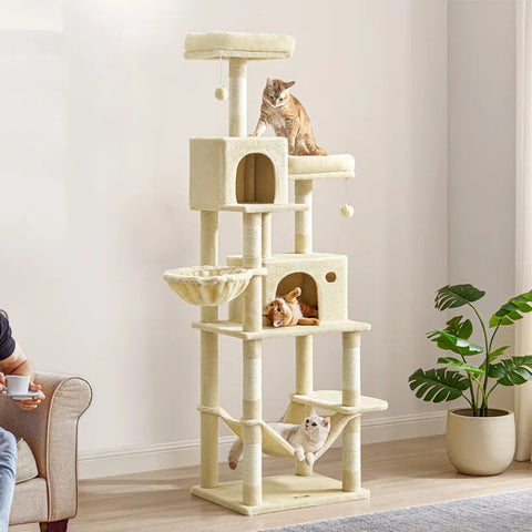 Elevate Your Cat's Playtime with the Timmins 78.3