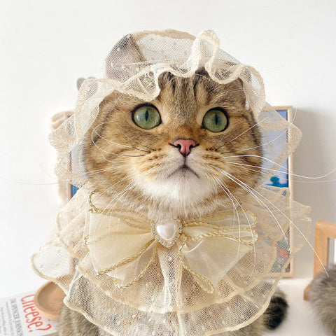 Netizens Cats Dogs Pets Lace Bibs Hats Clothes