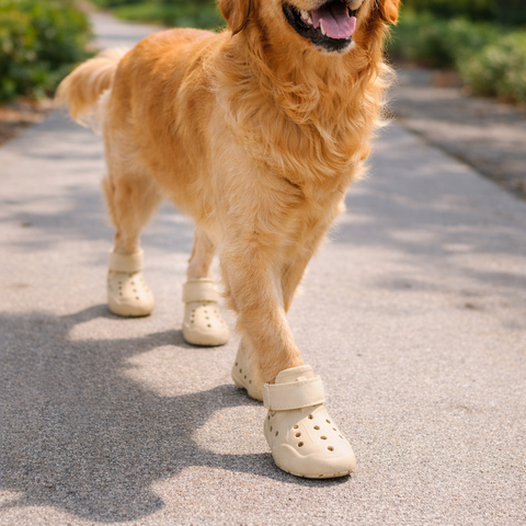 Indoor Dog Boots & Dog Shoes — Non-Slip Paw Protection (4-Pack)