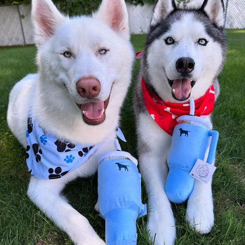 PUPROAR Pup Cup Dog Toy | Cute Squeaky Plush Tumbler Dog Toy