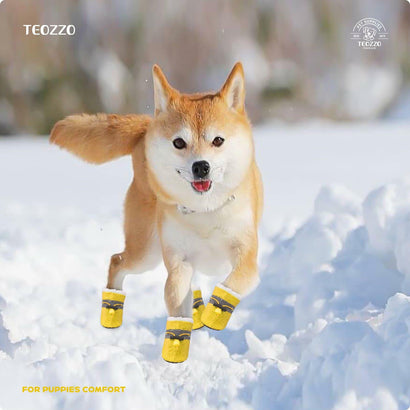 Dogs Booties