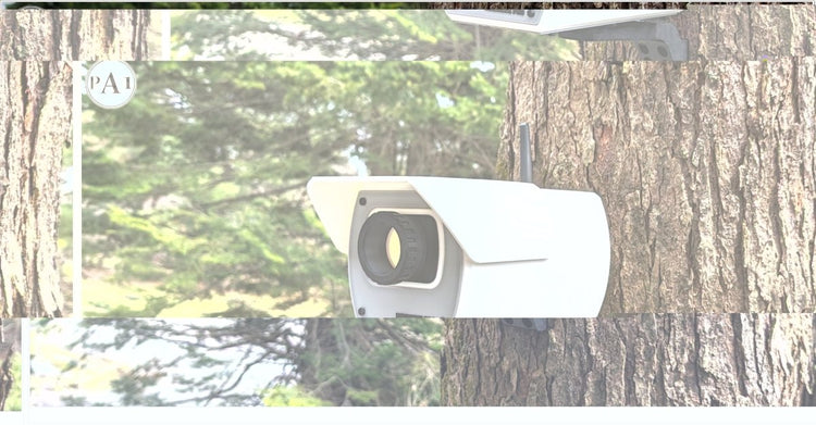 PerchCam Birdhouse – Realistic Security Camera Style Bird House for Modern Outdoor Decor